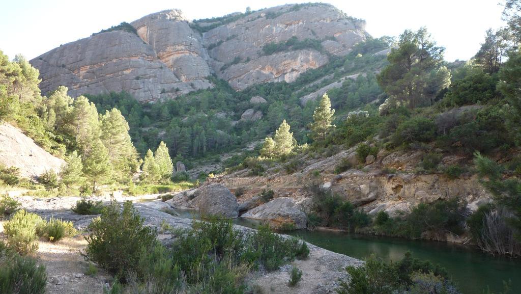 Casa rural Mas La Llum, La Casa De Palla